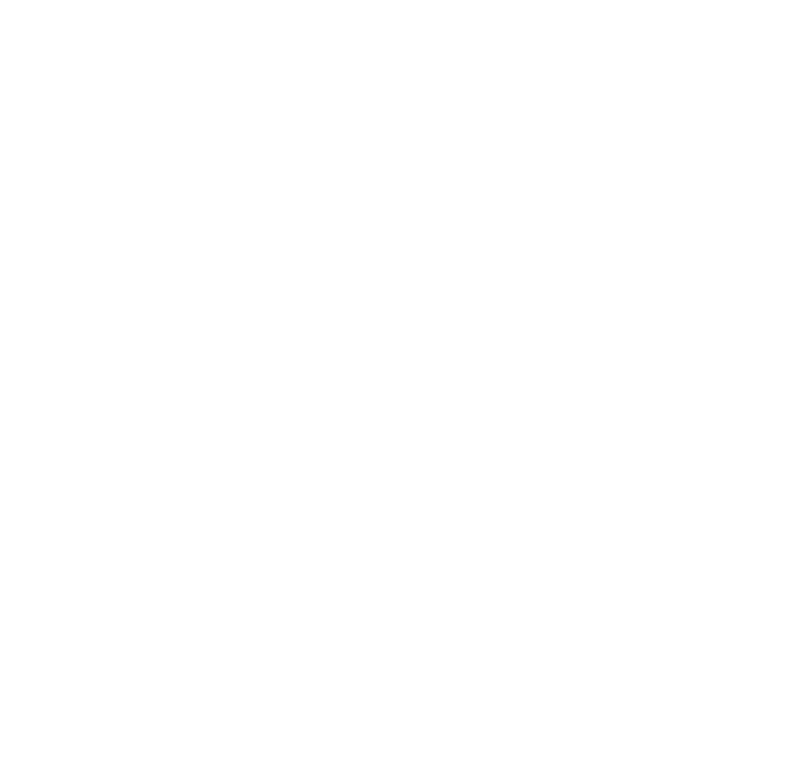 Marca Chile